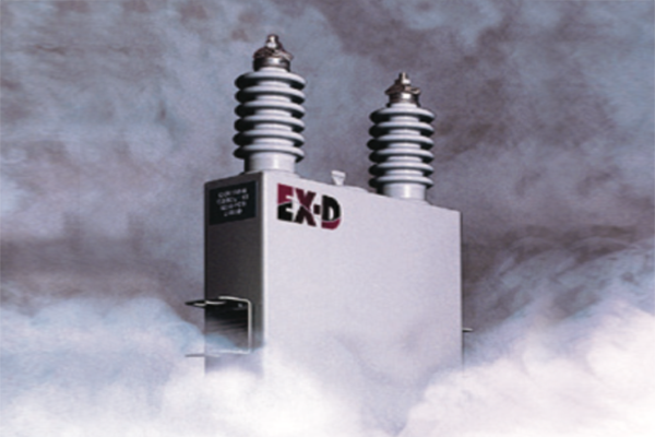 EX-D 系列超能电容器